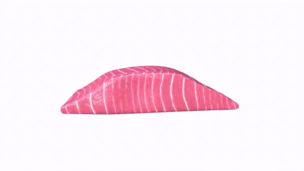 Carne Pesce Oggetto Anello Rotante — Video Stock
