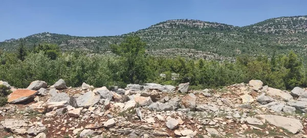 Paisaje Vista Montaña Hierba Rocas Otros — Foto de Stock