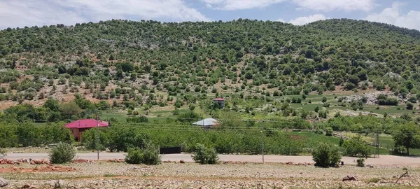 Paisagem Vista Montanha Grama Rochas Outros — Fotografia de Stock