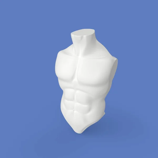 Rendering Human Torso — ストック写真