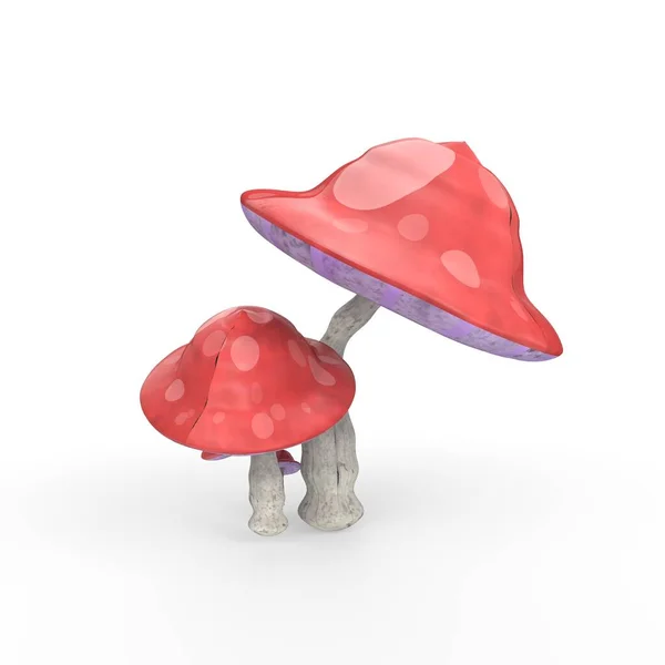 Mushroom Isolated White Background — Stock Photo, Image