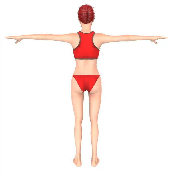 Illustration Female Body — Stok Foto