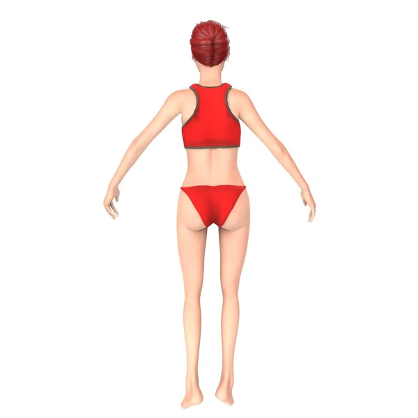 Female Body Illustration Isolated White Background — Photo