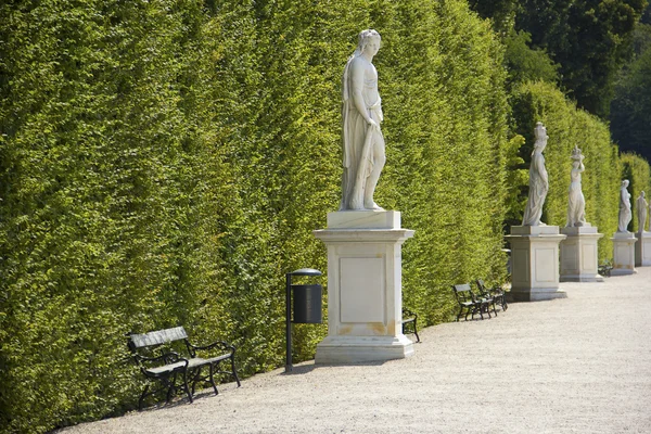 Schonbrunn Sarayı, Viyana 'da heykeller — Stok fotoğraf