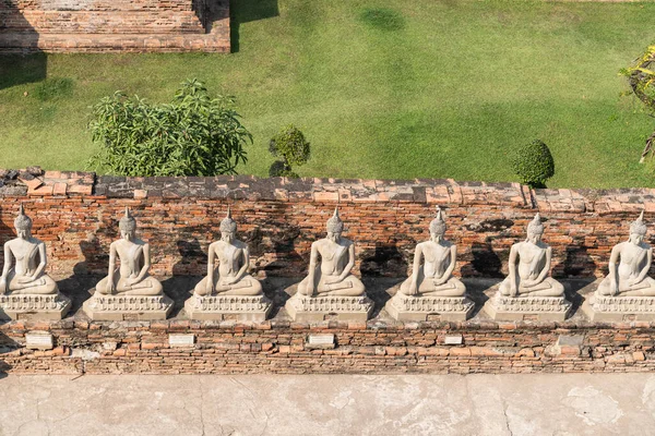 Много Статуй Будды Окружающих Стену Храма — стоковое фото