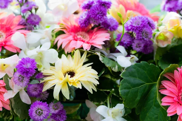 Arranjos Florais Simples Bonitos Orquídeas Crisântemos Amaranths — Fotografia de Stock