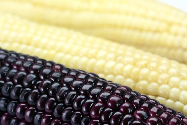 Сладкая фиолетовая кукуруза — стоковое фото