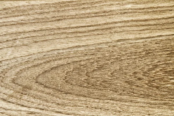 Superfície de madeira de teca — Fotografia de Stock