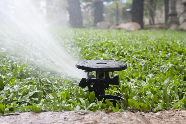 Sprinkler watering the grass — Stock Photo, Image