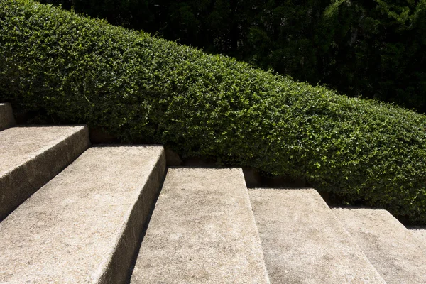 Stairway in a park — Stock Photo, Image