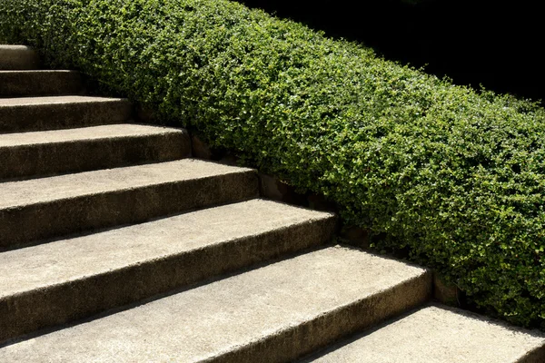 Stairway in a park — Stock Photo, Image