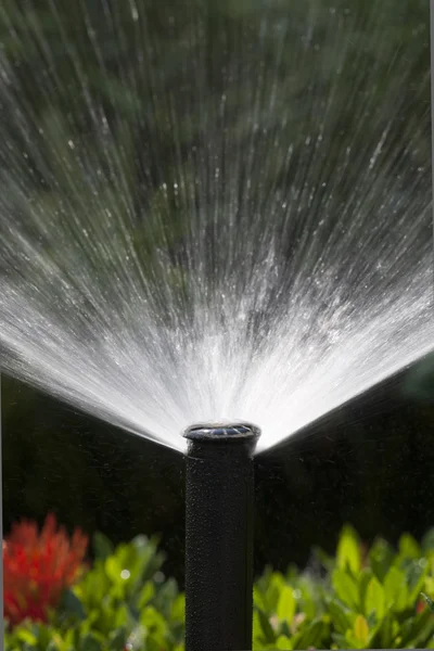 Sprinkler head watering the bush and grass Stock Picture