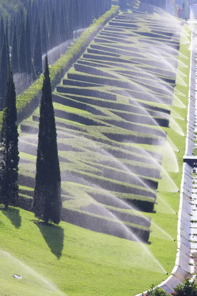 Sprinkler system watering bush — Stock Photo, Image