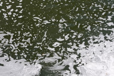 Pollution water foam clipart