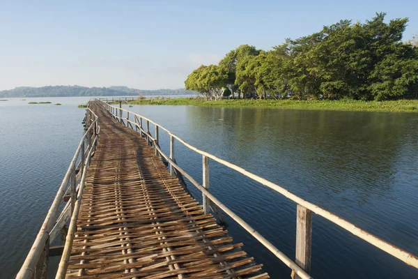 Ponte di bambù — Foto Stock