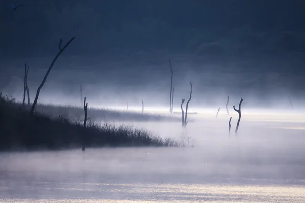 Jezioro rano — Zdjęcie stockowe