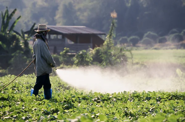 Farmer permetezés peszticid-a szója mező — Stock Fotó