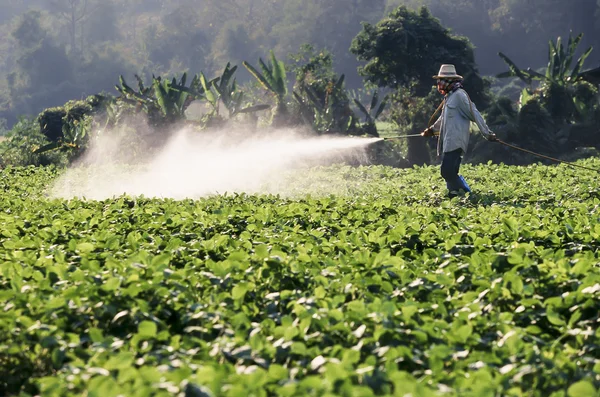 Boer sproeien van pesticiden op soja veld — Stockfoto