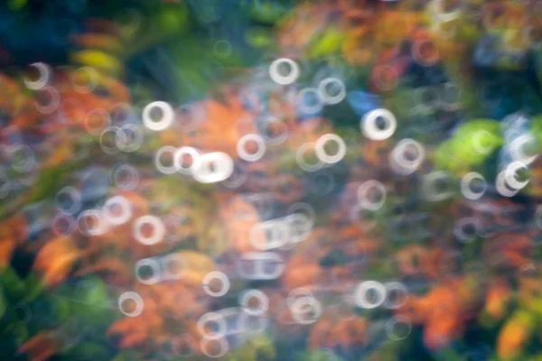 Donut rings Bokeh background — Stock Photo, Image