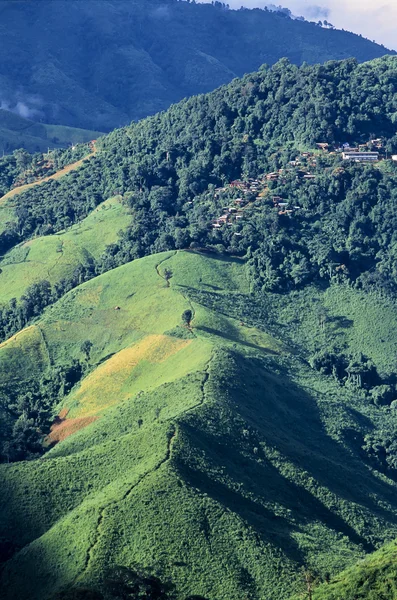 Kehancuran hutan hujan di thailand oleh suku bukit — Stok Foto