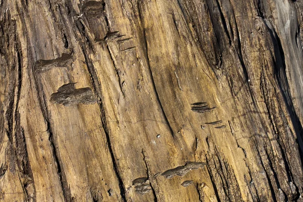 Textura de madera Artifiacial — Foto de Stock