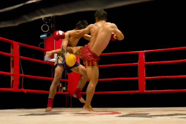 Muay Thai or Thai boxing — Stock Photo, Image