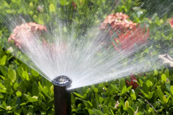 Sprinkler huvud vattning av bush och gräs — Stockfoto