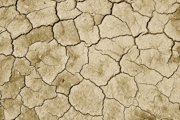 Dry soil background — Stock Photo, Image