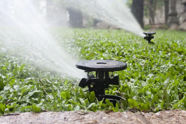 Sprinkler watering the grass — Stock Photo, Image