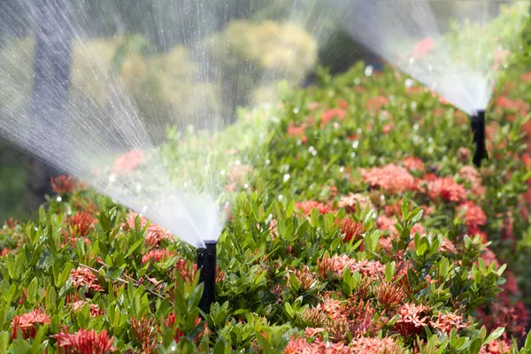Testa irrigatore innaffiare il cespuglio e l'erba — Foto Stock