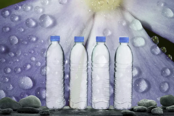 Четыре бутылки питьевой воды — стоковое фото