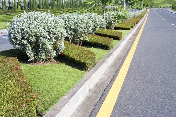 Estrada bonita com jardim — Fotografia de Stock