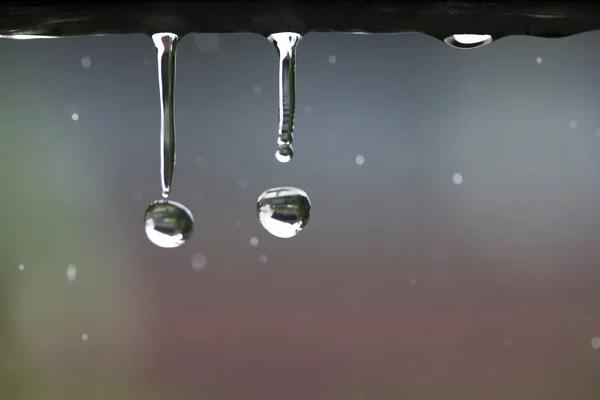 Krople wody w deszczowy dzień — Zdjęcie stockowe