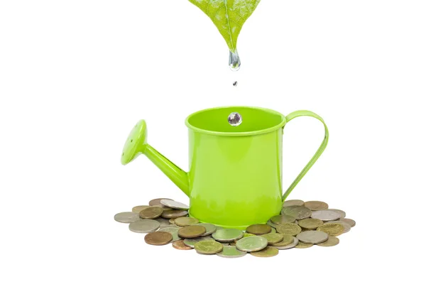 Regadera verde con gotas — Foto de Stock