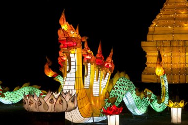 Naga fener yee-peng Festivali, chiangmai, Tayland