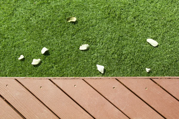 Patio en gras met vallen bladeren — Stockfoto