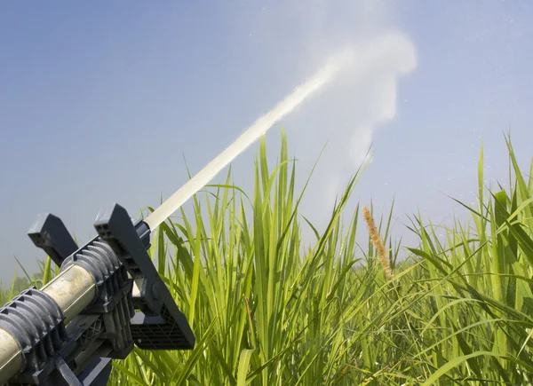 Cabeza de aspersor regando la hierba en la granja — Foto de Stock