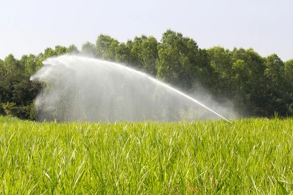 Sprinkler testa irrigazione l'erba in azienda agricola — Foto Stock