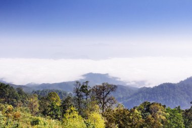 pai ilçe maehongson il Tayland dağ orman