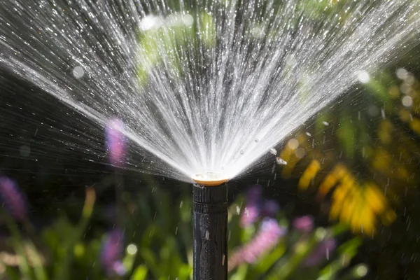 Sprinkler head watering in garden. — Stock Photo, Image