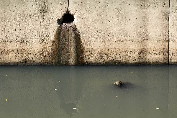 Canal contaminado por aguas residuales de drenaje de la casa —  Fotos de Stock