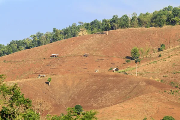 Vernietiging van het regenwoud in thailand — Stockfoto