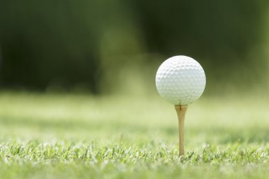 Golf topu sahada.