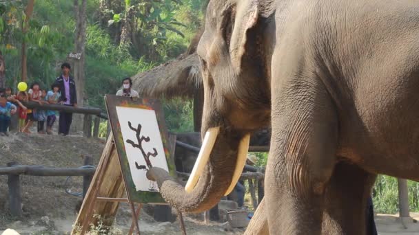Elefante mostrar pintura sobre papel — Vídeos de Stock
