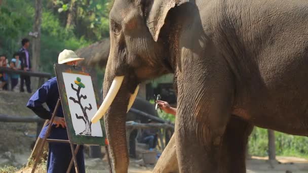 Elephant show painting on paper — Stock Video