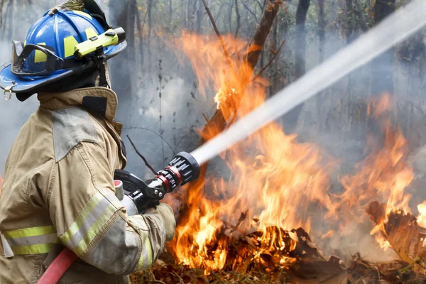 Feuerwehr half bei der Bekämpfung eines Flächenbrandes Stockfoto