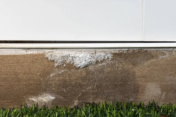 Efflorescenza Macchia Sale Bianco Muro Cemento Umidità — Foto Stock