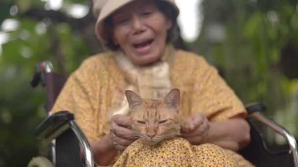Mulher Idosa Segurando Gato Gengibre Cadeira Rodas Quintal — Vídeo de Stock