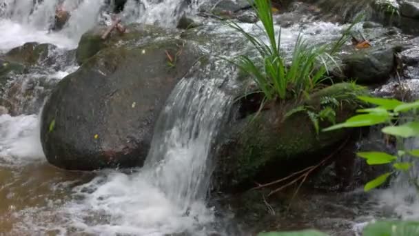 清迈泰国热带雨林中流动的慢流山河 — 图库视频影像