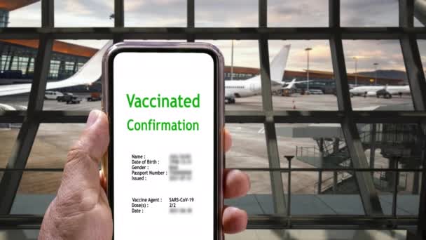 Digitální Covid Vakcinační Průkaz Nebo Vakcinační Pasy Mobilním Telefonu — Stock video